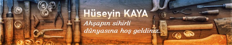 H&uuml;seyin KAYA